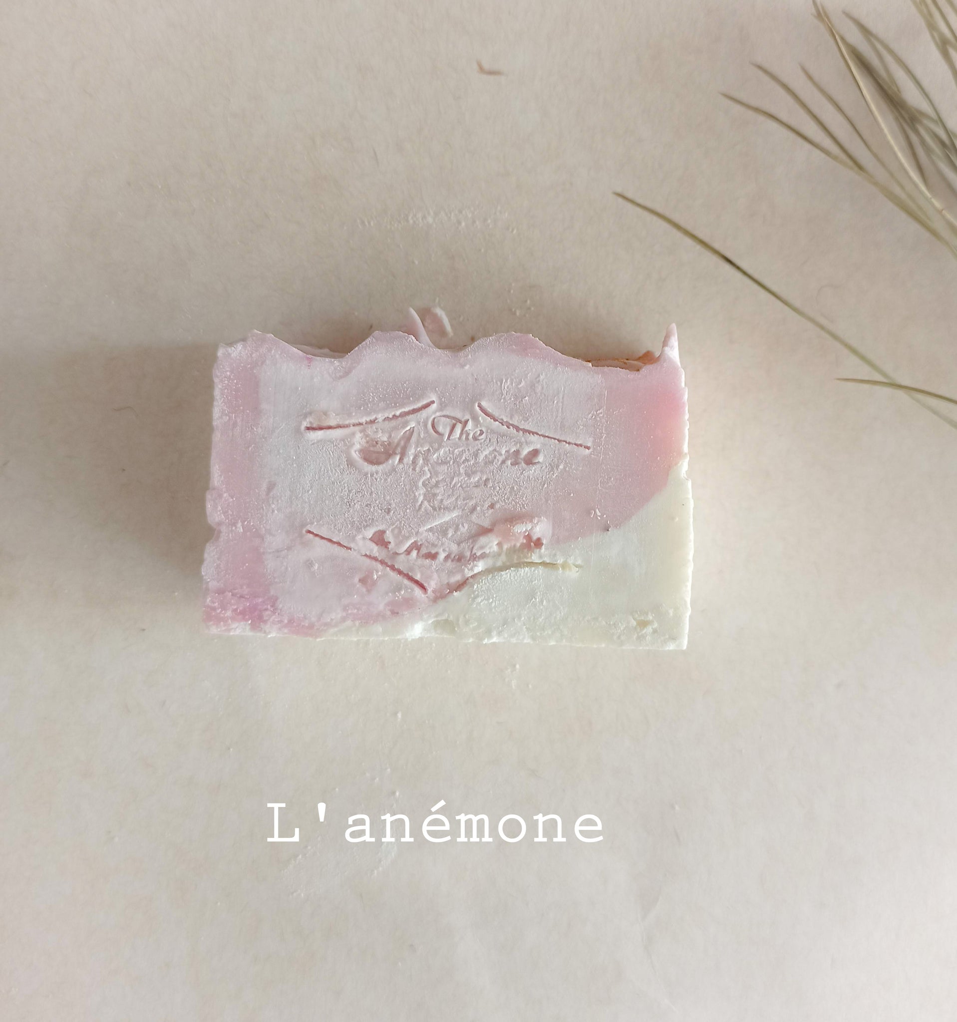 Sweet Coconut Handmade Soap